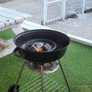 콩밭매는 강아지 이미지