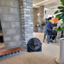 블루25 진성점 이미지