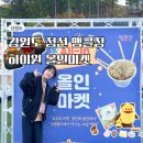 농업회사법인(주)태백사료 | 강원도 정선여행 하이원리조트 정선 DMO 정선관광두레 맹글장 마켓