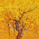 파우제(PAUSE) 이미지