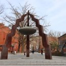 대학로동물병원 이미지