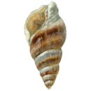 진동면사무소 이미지