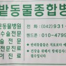 한밭동물병원 - 대덕구 대덕대로 1588 | 한밭동물병원