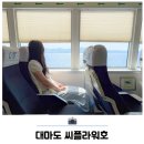 호 | 부산 대마도 배편 예약 시간 씨플라워호 탑승 후기