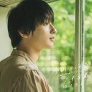 디케이하우스 이미지