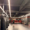 신방체육관 | 신방동복싱 365복싱데이 직장인 다이어트 운동 후기