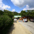 충남농원염소 이미지