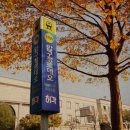 로데오로(1) 이미지