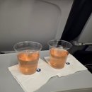 오조리 올레길 공중화장실 | [여행] 제주도 2박 3일 여행 기록(1) | 파라타항공, 으뜨미, 스누피가든, 당케올레국수, 카페쿠리