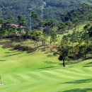 석정힐CC 이미지