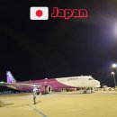 피치짐 | 오사카에서 피치항공 후기 위탁수하물 가격 T2터미널