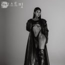 더모스트핏 이미지