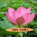통합리듬댄스 Daum카페