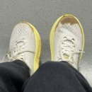 뉴서울세탁소 | 초등학생 운동화 추천 | 호카 키즈 링컨4 착용 후기