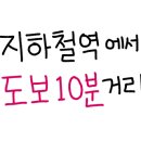왕산물회
