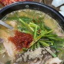 부산 영진돼지국밥 지사점 대박 푸짐한 김해 현지인 맛집 내돈내산 추천