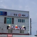황금돈돼지 이미지