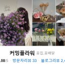 커밍플라워 이미지