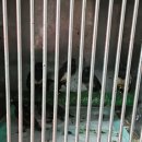 서울시야생동물센터 이미지