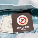 모던케어 이미지