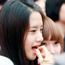 짱 이미지
