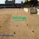 내발산초등학교 이미지