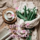 사랑은 봄비처럼 이별은 겨울비 처럼 - 임현정 이미지