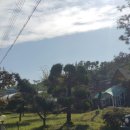 논두렁민물매운탕 이미지