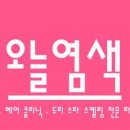 오늘염색 이미지