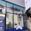 우쭈쭈플렉스 강아지 미용 이미지