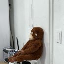 파인더 | 영등포 스튜디오 프로필사진 스튜디오 뷰파인더 촬영후기