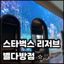 별다방 | 서울 스타벅스 리저브 매장 추천｜명동,남산 근처 조용한 카페_리저브 별다방점 후기