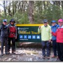 [뉴질랜드] 밀포드 트레킹(Milford Trekking. 2015/02/16~02/24) 후기 이미지