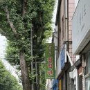 대법사 - 여주군 | 예약 안 하면 못 본다는 광주 동운철학관, 제가 다녀왔습니다