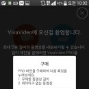 비바비디오 이미지