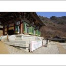 수리사 - 1091 | 수리사