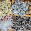 열린터어린이집 이미지