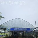코리아농장 | 블루베리체험 코리아블루베리농원 딸기체험 끝! 블루베리농장체험 비용 예약 위치 후기