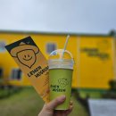 서귀고양이 이미지