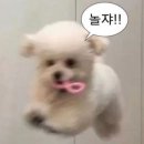 강동베이커리 네이버블로그