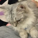 집사의하루 남포점 이미지