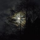 Five Nights at Freddy‘s 이미지