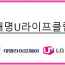 대명라이프 이미지