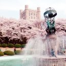 경희대학교 이미지