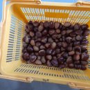 초촌농장 이미지