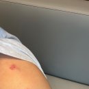 나은 캔넬 | 가을.. 왔니? &lt;9월&gt;일상