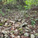 원주굽이길 16코스 황둔쌀찐빵길 이미지