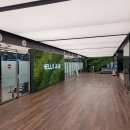 선흘 언니네 이미지