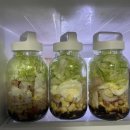 두거리우신탕 논산점 | 3월