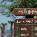 용남해안로 이미지